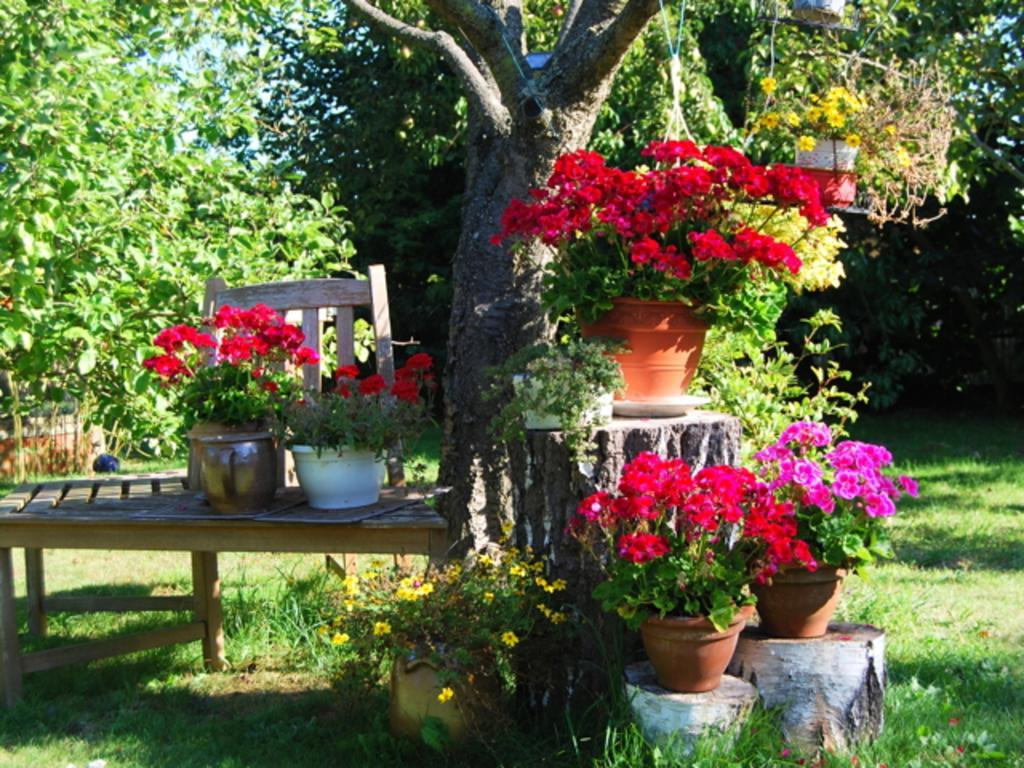 Ferienhaus Mit Garten Am Bodstedter Bodden Экстерьер фото